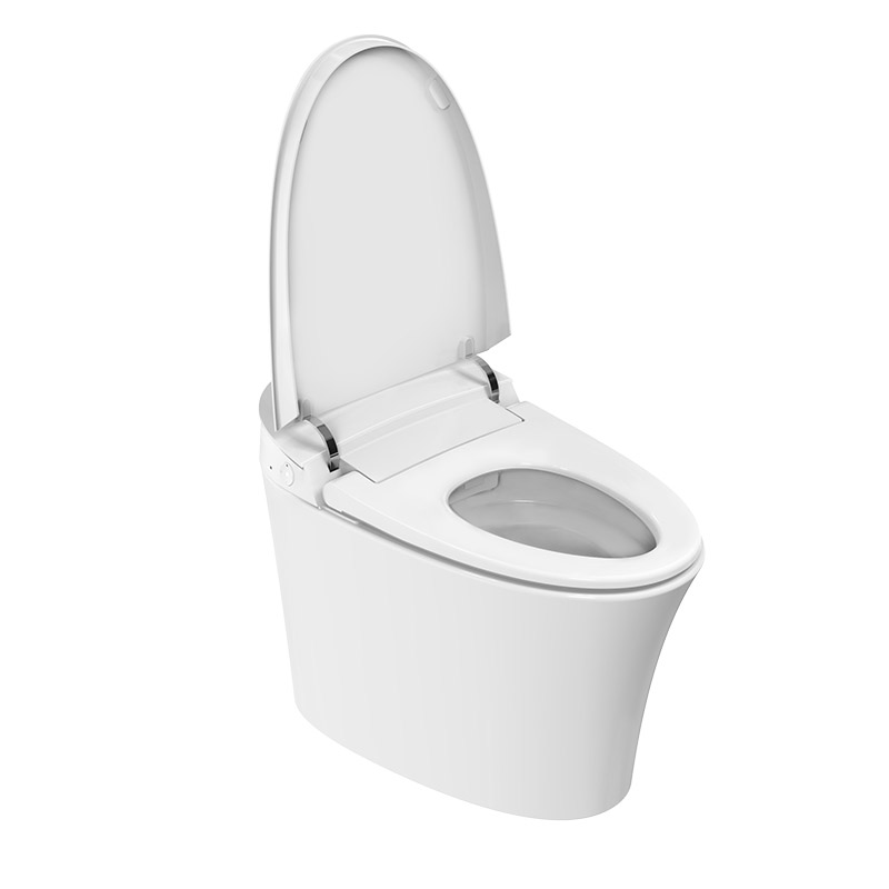 Aquatiz F11 Entry-level Smart Toilet White/Grey