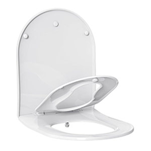 AQUATIZ D-Shaped Toilet Seat with Built-in Potty Training Seat